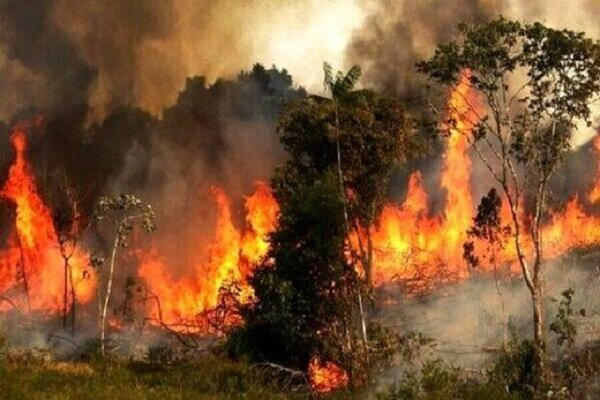نمایی از آتش سوزی ارتفاعات تنگه هایقر فیروزآباد