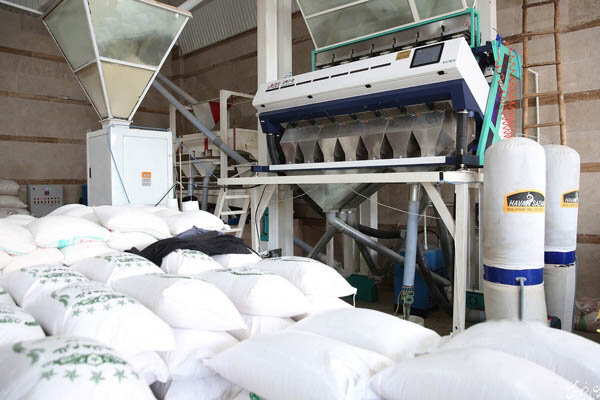 مرکز بین‌المللی تجارت و صادرات برنج ایران افتتاح شد