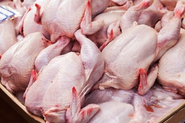 بازار مرغ به ثبات رسید/ ممنوعیت قطعه بندی برداشته شد