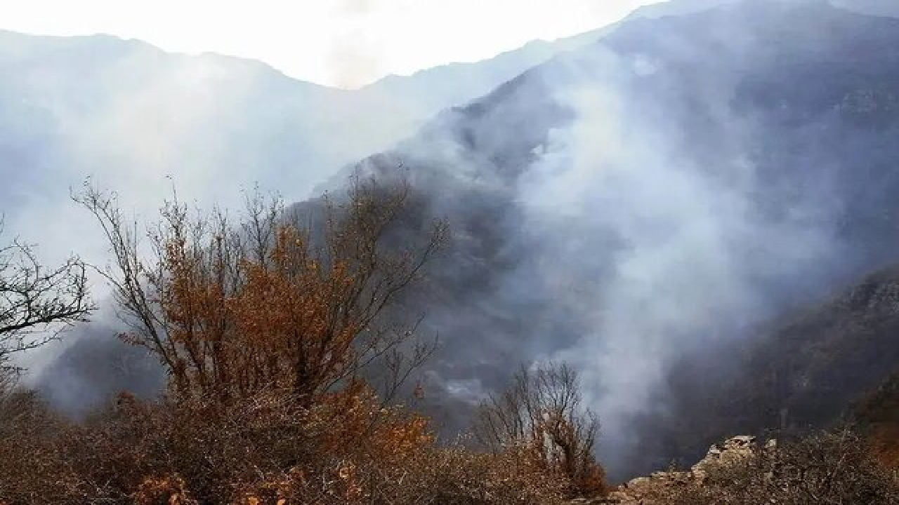 ۸ بالگرد و هواپیما‌های ایلوشن مشغول اطفای حریق الیت هستند