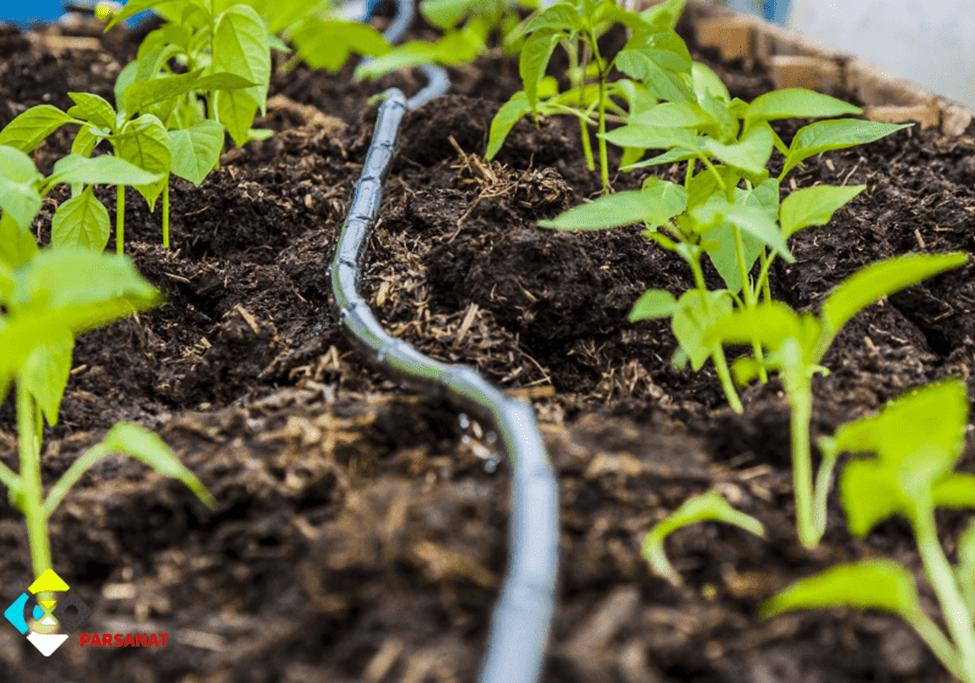 هزینه نوار تیپ برای یک هکتار+راهنمای خرید و قیمت روز