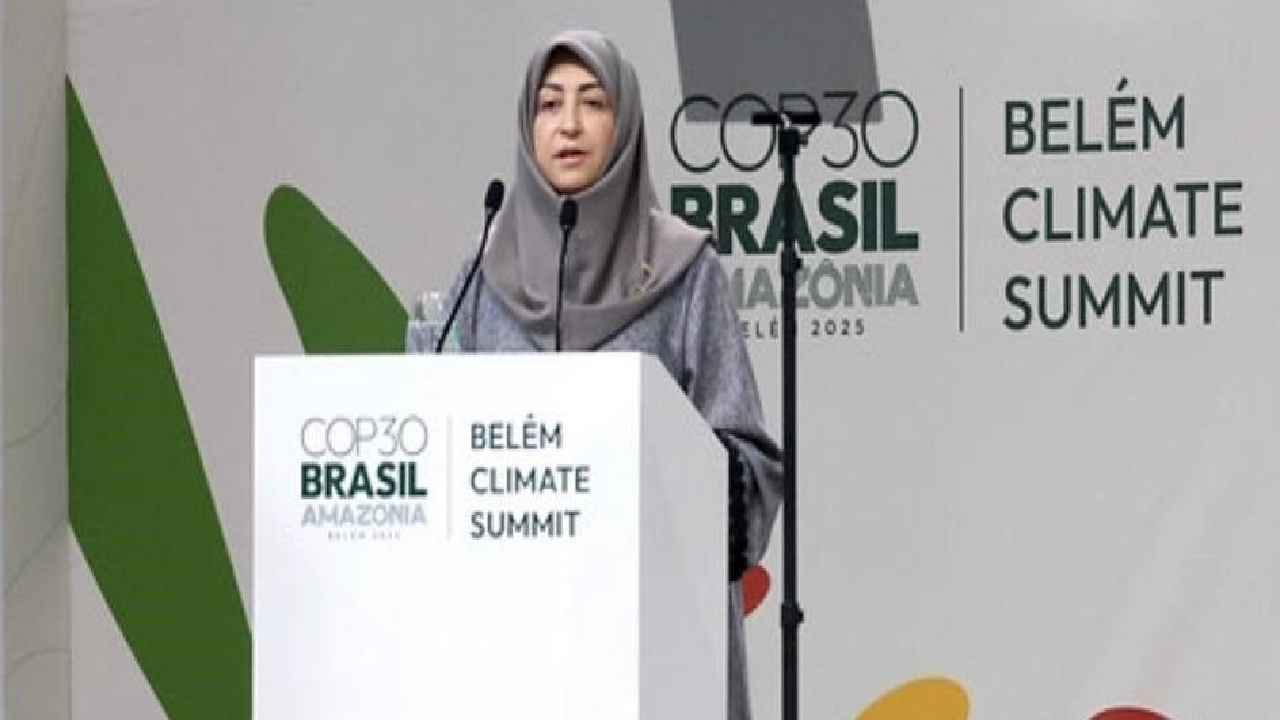 ایران با وجود تحریمها به تعهدات اقلیمی خود پایبند است/ کاهش۱۰ میلیارد مترمکعب گاز گلخانهای