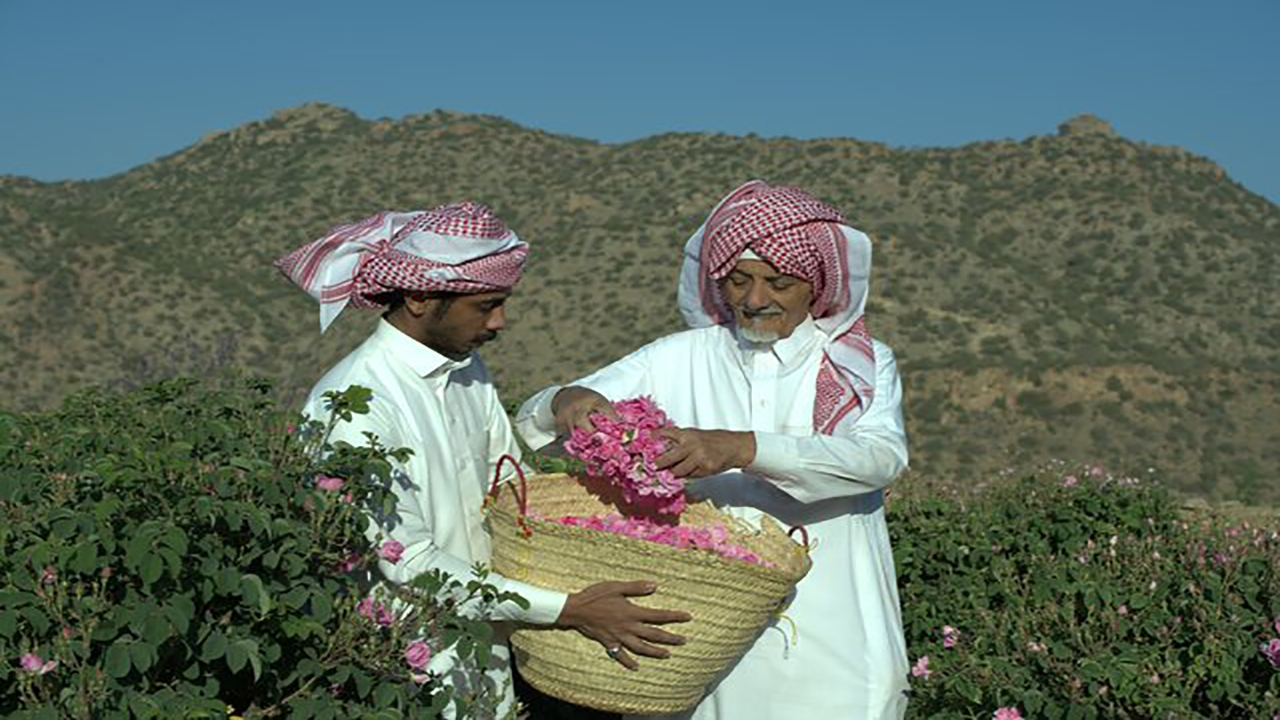 ماجرای خبر «ثبت گل محمدی به‌نام عربستان» چیست؟