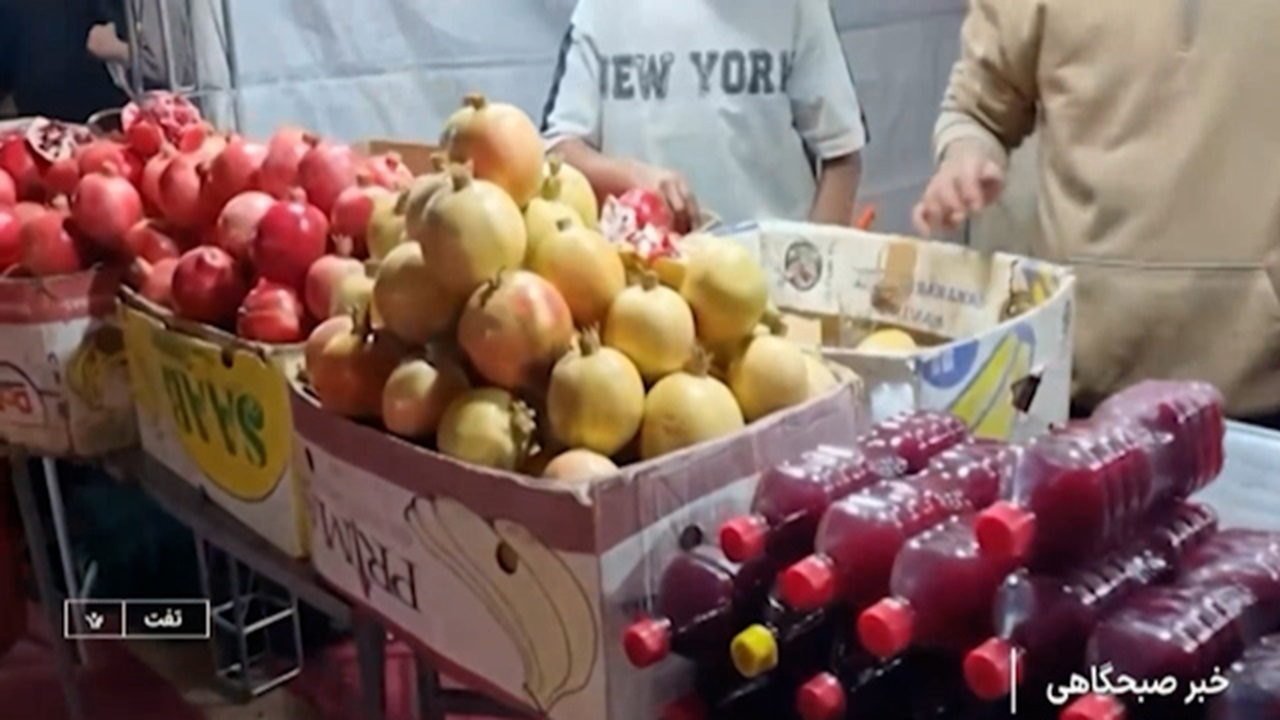 برداشت دانههای یاقوت در باغشهر تفت + فیلم