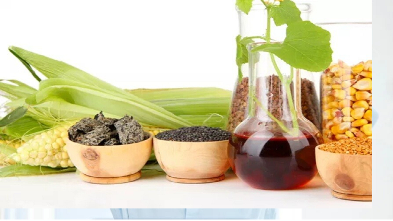 ابداع یک سوخت موتور با روغن بادام زمینی!