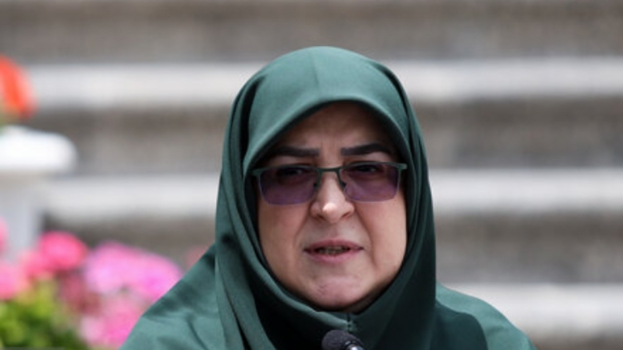 مهاجرانی: دولت مصمم به بازگشت اتباع غیرمجاز است