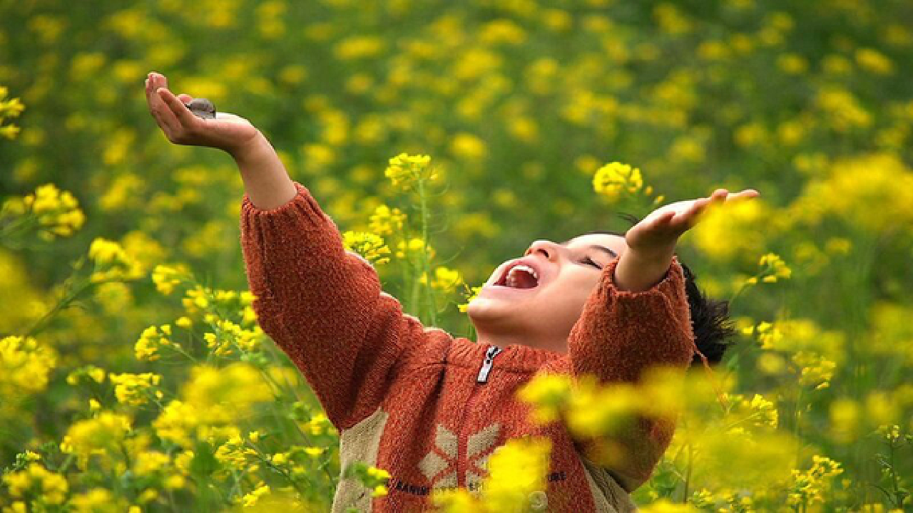 این دین، برای تفریح هم نسخه میپیچد