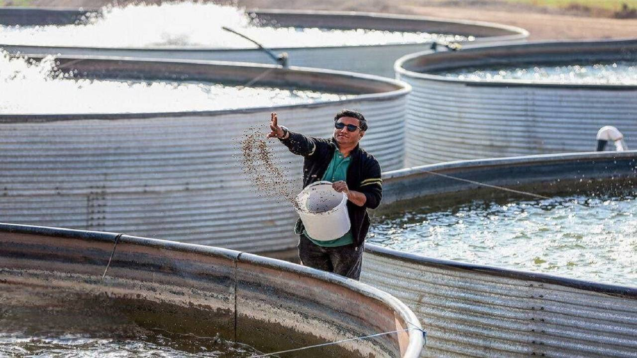 توانمندسازی اقتصادی در سیستان و بلوچستان از مسیر توسعه گلخانه و پرورش آبزیان