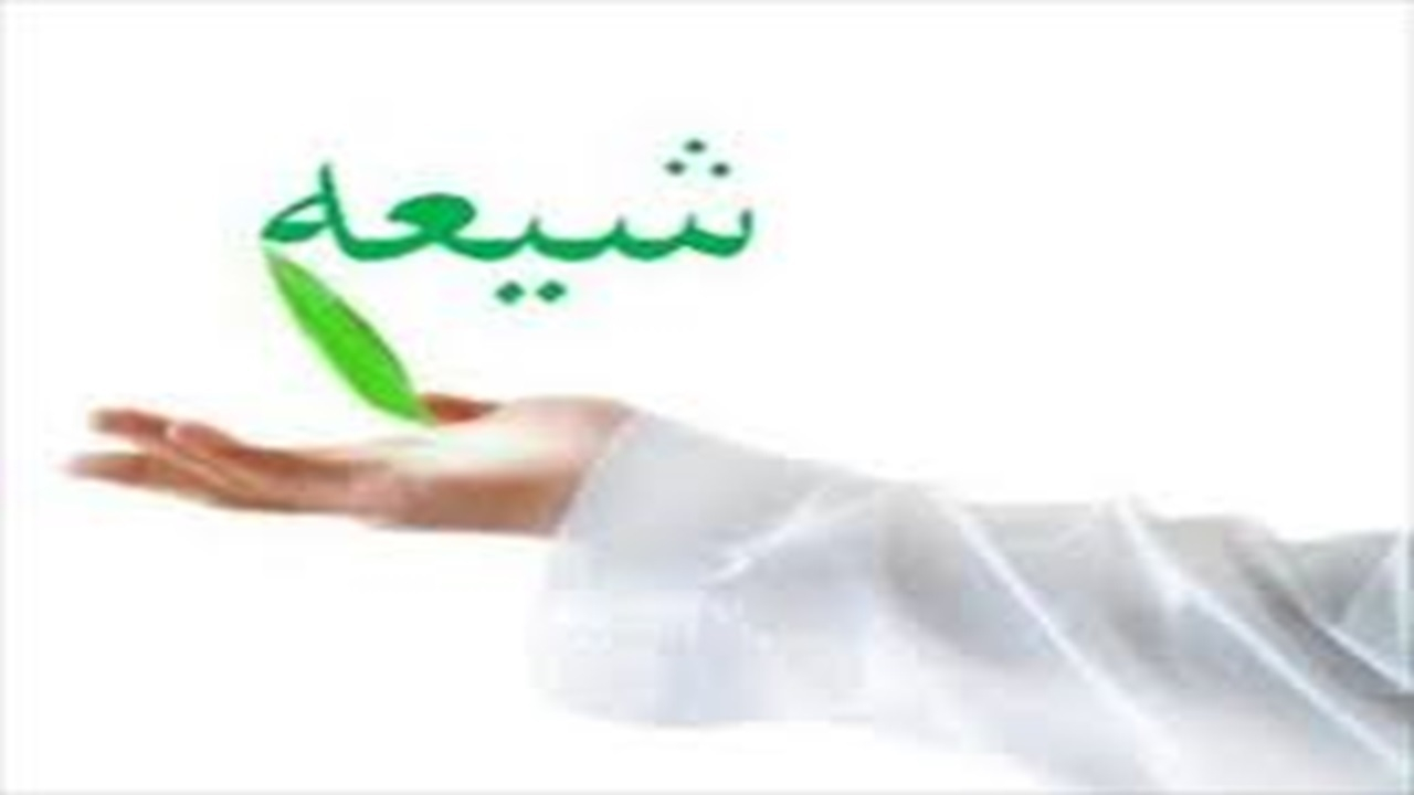 ریشههای تاریخی تشیع؛ از سقیفه تا ملازمت با نص قرآن و سنت