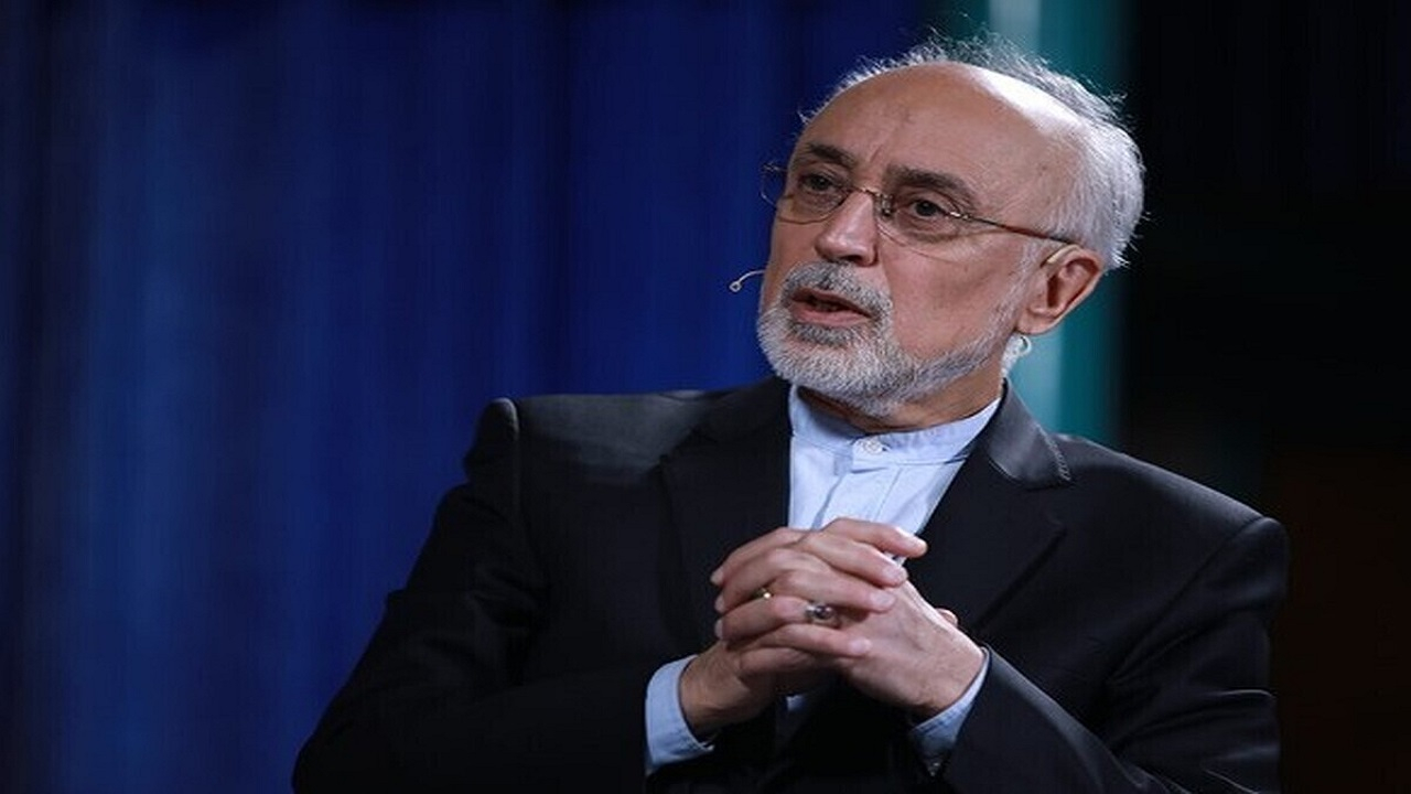 ایران هیچ کاری خلاف تعهدات پادمانی خود نکرده است/ باید از تجربه برجام استفاده کنیم