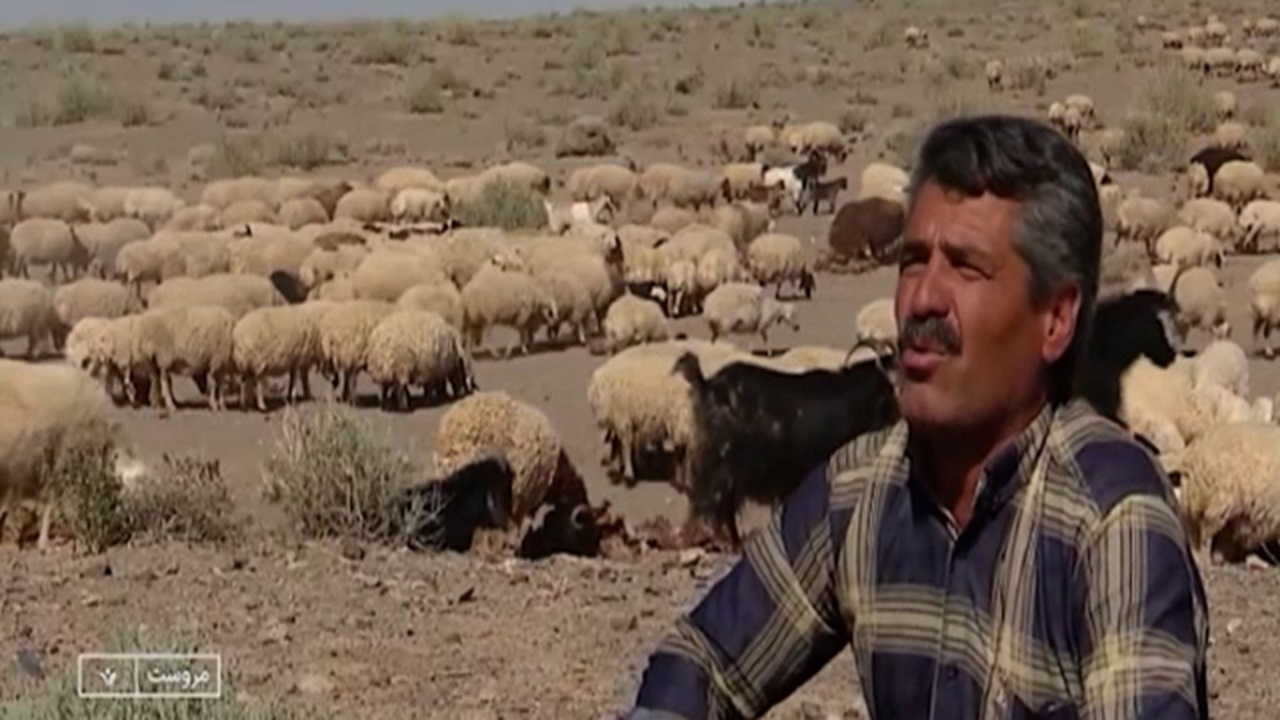 عزم و اراده دامدار نمونه مروستی + فیلم