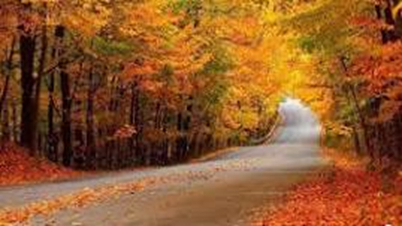 جشن رنگها در پارک ملی گلستان + فیلم