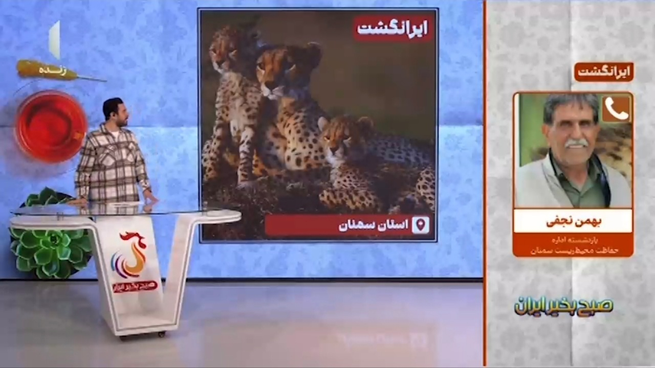 توجه بیشتر به محیط‌بان‌ها ضروری است + فیلم