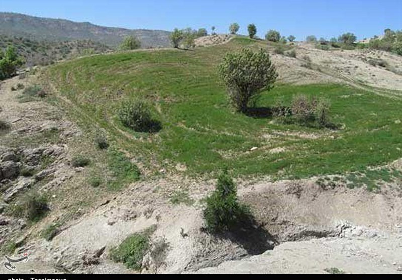 برنامه احیای مراتع استان مازندران در دستور کار است