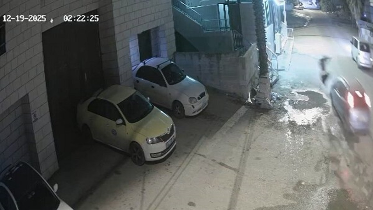 جنایت هولناک شهرک نشین صهیونیست در شرق نابلس +  فیلم