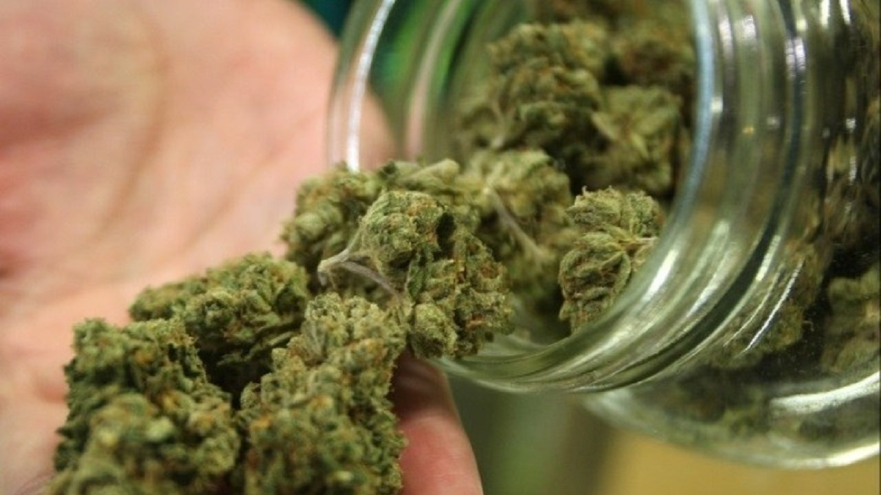 «گل» حتی از «حشیش» هم ویرانکنندهتر است