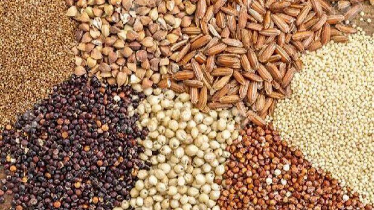 ابلاغ دستورالعمل تأمین ارز واردات نهاده‌های دامی در ازای پذیرش اوراق گام