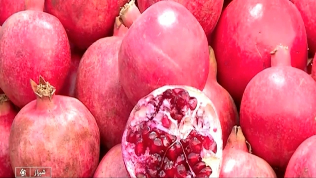 جشنواره انار و خرمالو در شیراز + فیلم