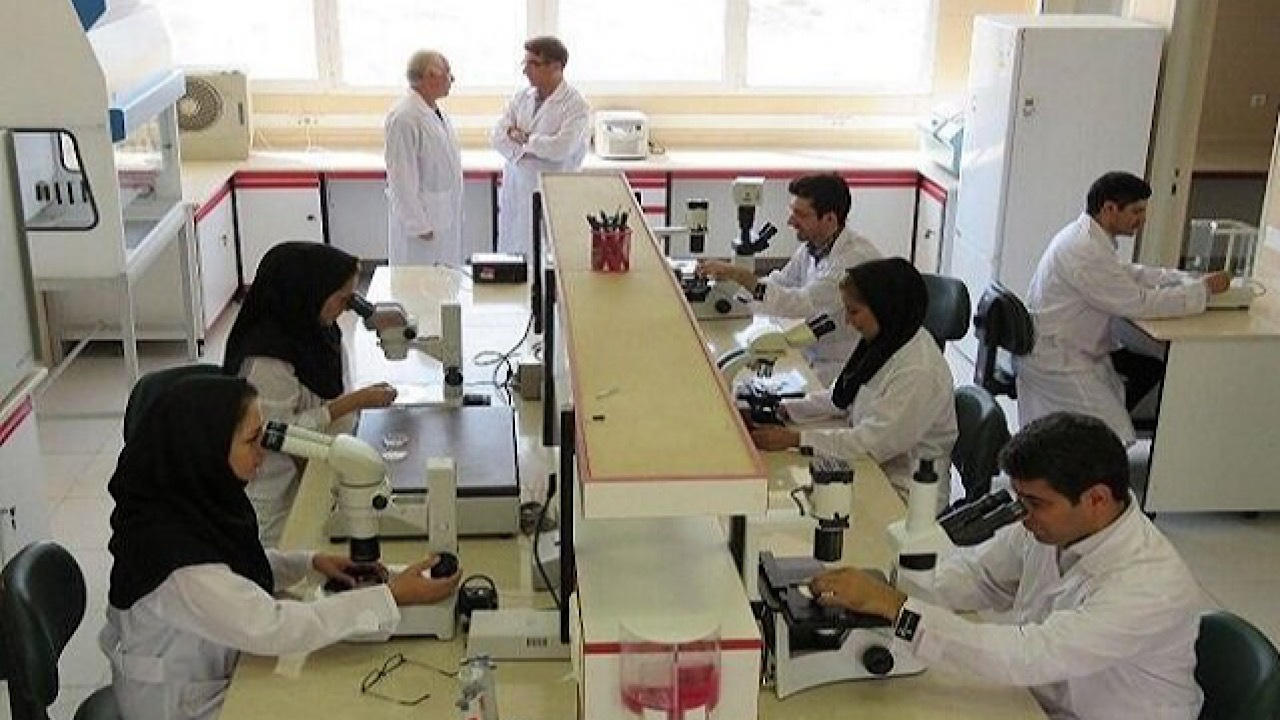 جزئیات جذب پژوهشگر دورههای پسادکتری علوم پزشکی تهران