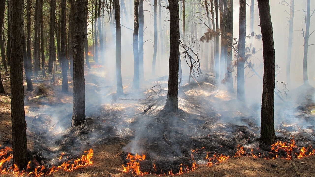 دستور ویژه برای اطفای حریق در چالوس