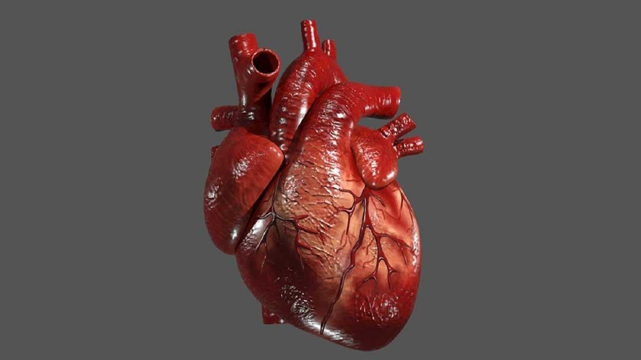 یک راز غذایی که خطر ابتلا به بیماری قلبی را کاهش میدهد