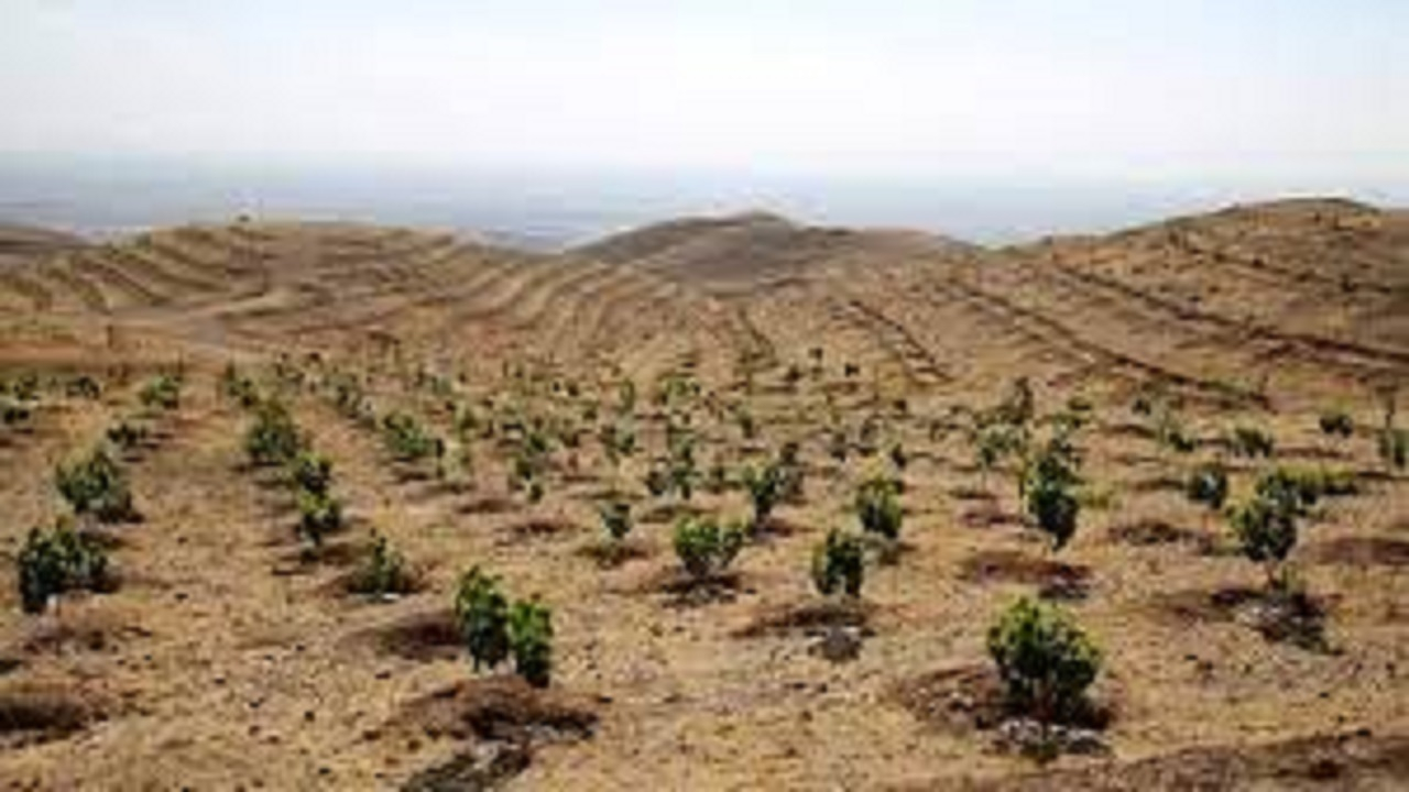 کاهش ۲۰ درصدی کانونهای بحرانی فرسایش بادی در برنامه هفتم