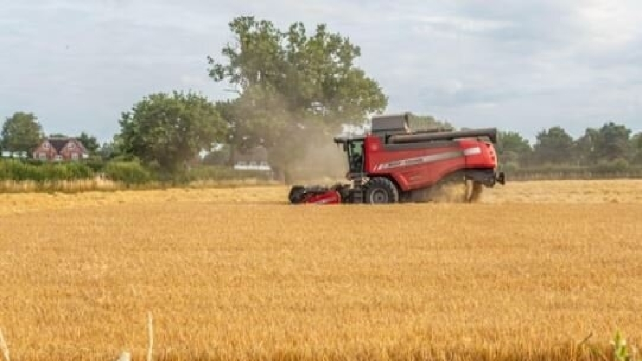 افزایش دی‌اکسید کربن در محیط زیست ارزش غذایی خوردنی‌ها را کاهش می‌دهد