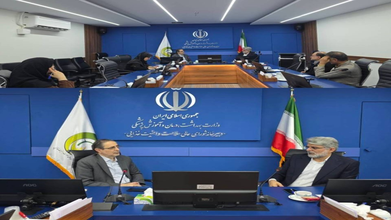 نشست همافزایی برای ترویج فعالیت بدنی و سلامت جامعه