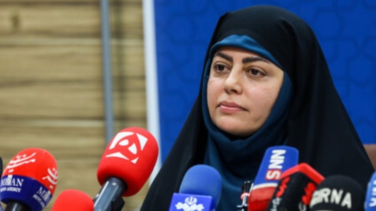رونمایی از پلتفرم «تاکسی شهر» تا آخر تیرماه