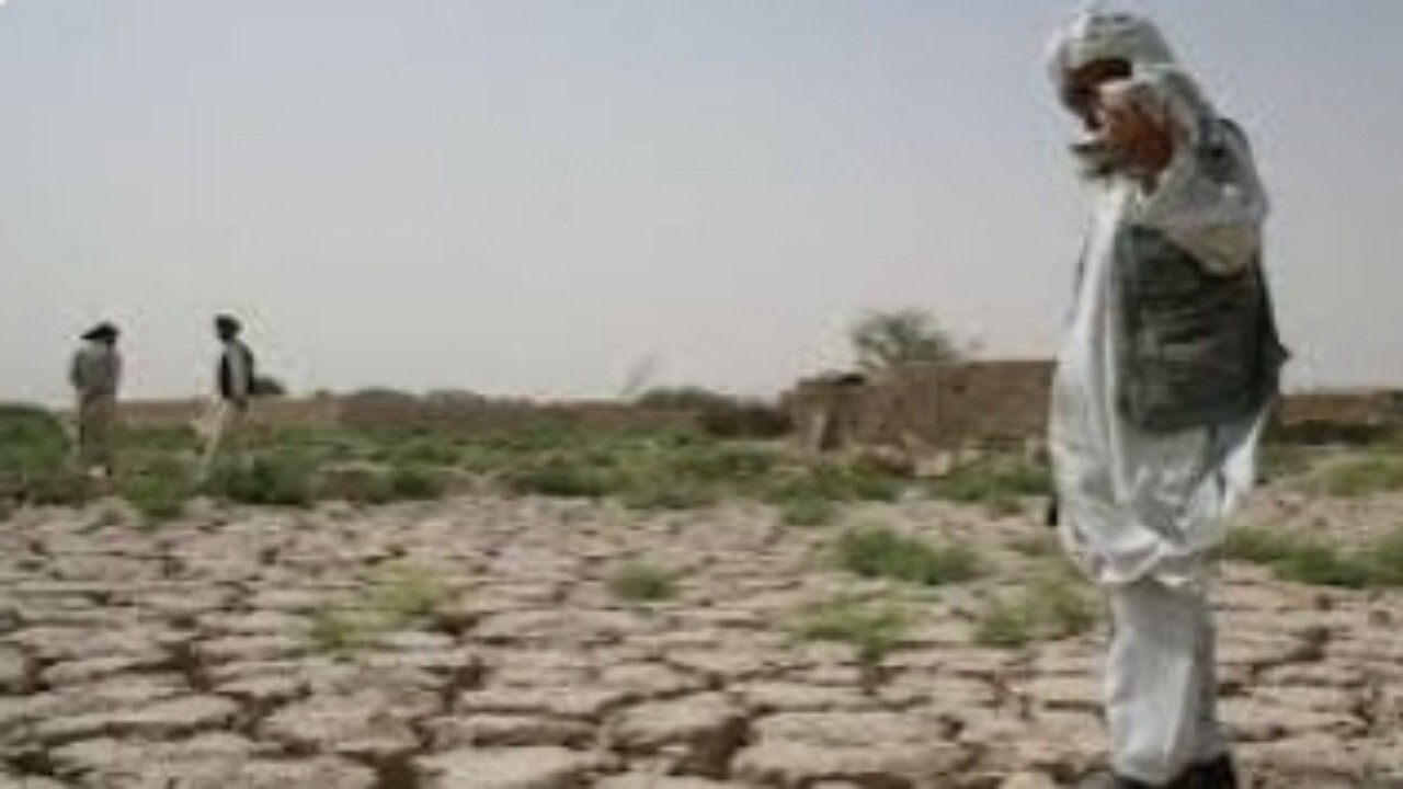 کمک ۱۴ میلیون دلاری سازمان ملل به افغانستان