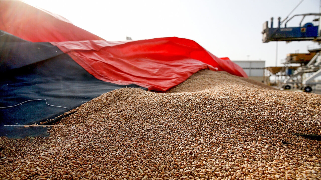 مسئولیت نظارت و توزیع نهادههای دامی به شرکت پشتیبانی امور دام واگذار شد