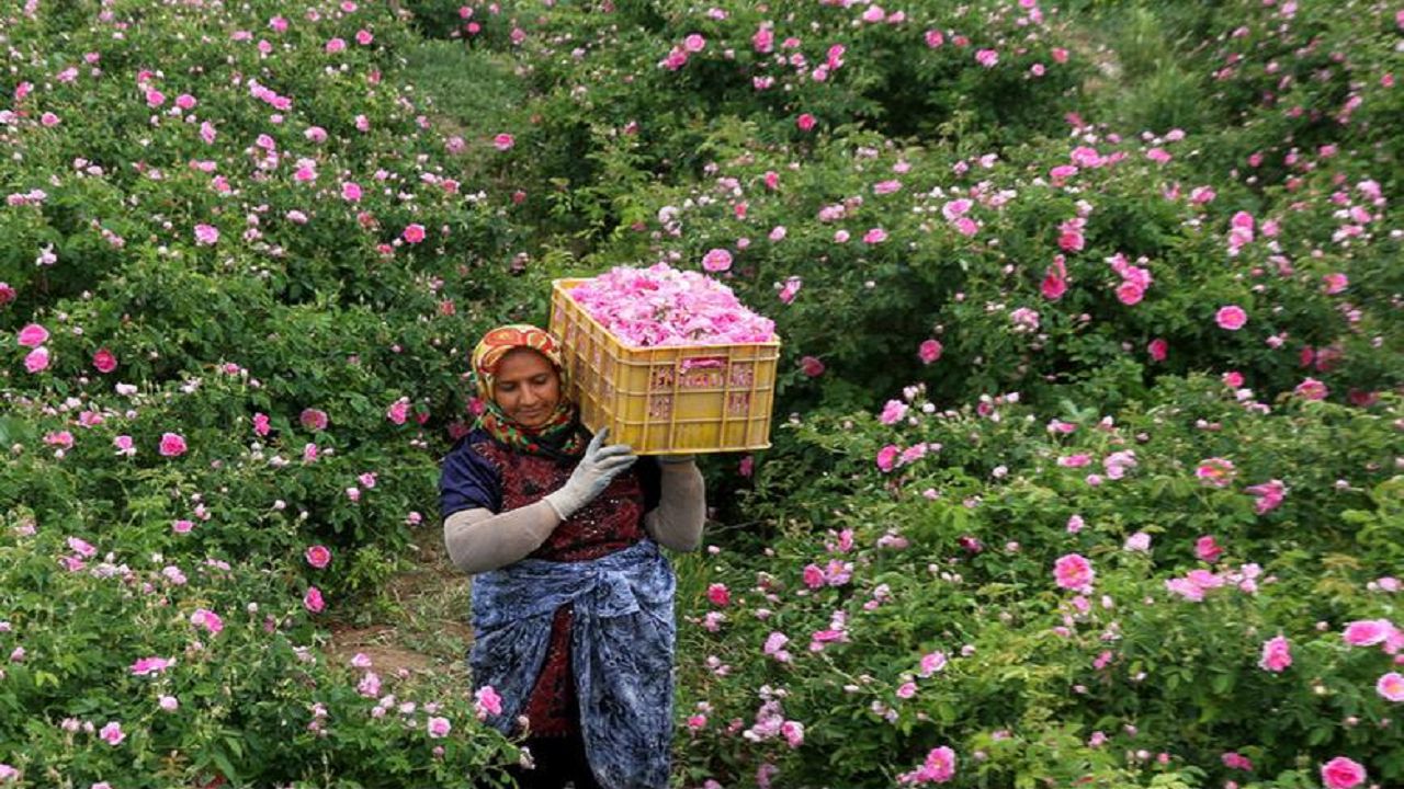 فَرُخَد؛ کاشان کوچک در دل خراسان