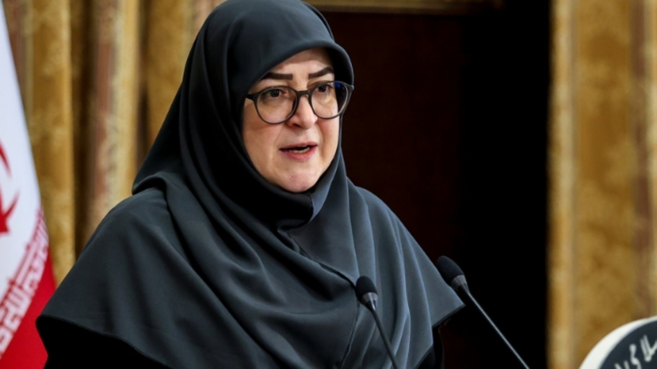 سخنگوی دولت: خیمهٔ هنر به افزایش تابآوری کمک میکند