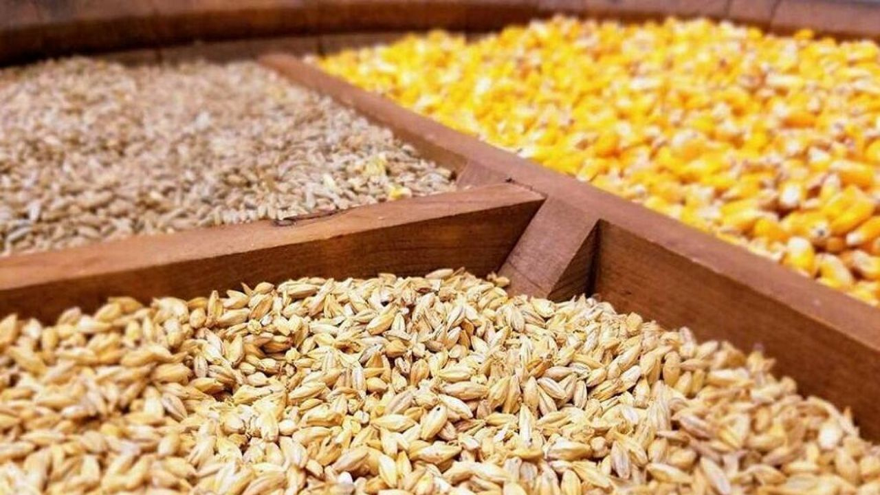 مقصر بی نظمی در بازار نهاده‌های دامی کیست؟ / وعده وزیر جهاد کشاورزی در خصوص تامین نهاده دامی محقق نشد