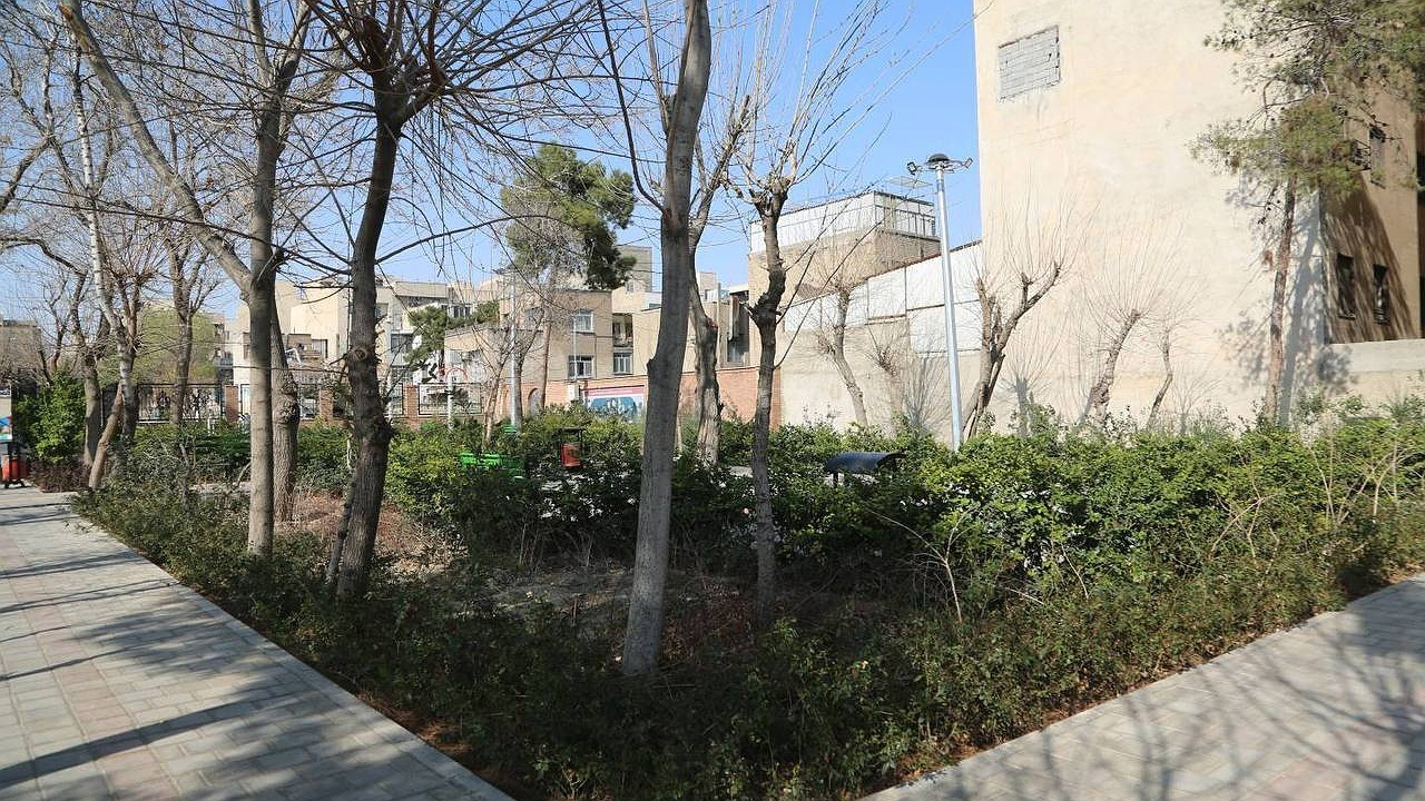 عزم جدی منطقه ۱۰ در  بازآفرینی فضاهای سبز محلی