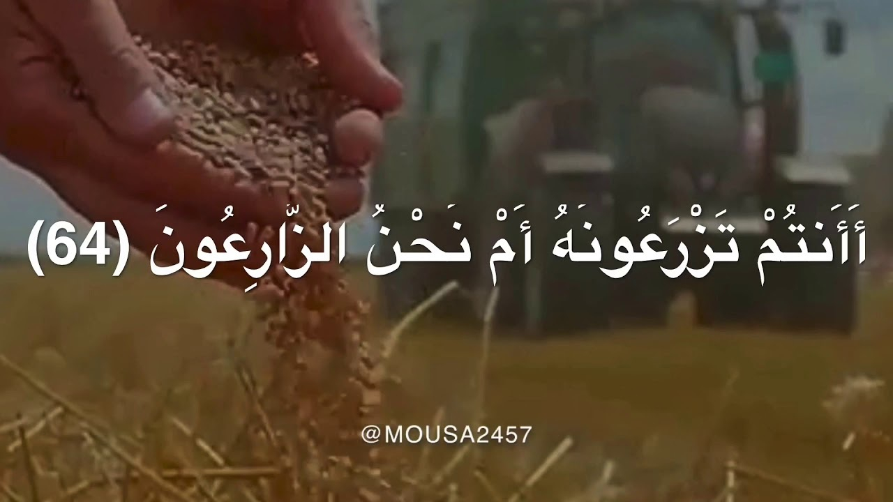 راز رزق در آینه دل؛ آن‌چه داریم، امانتی‌ست از آسمان