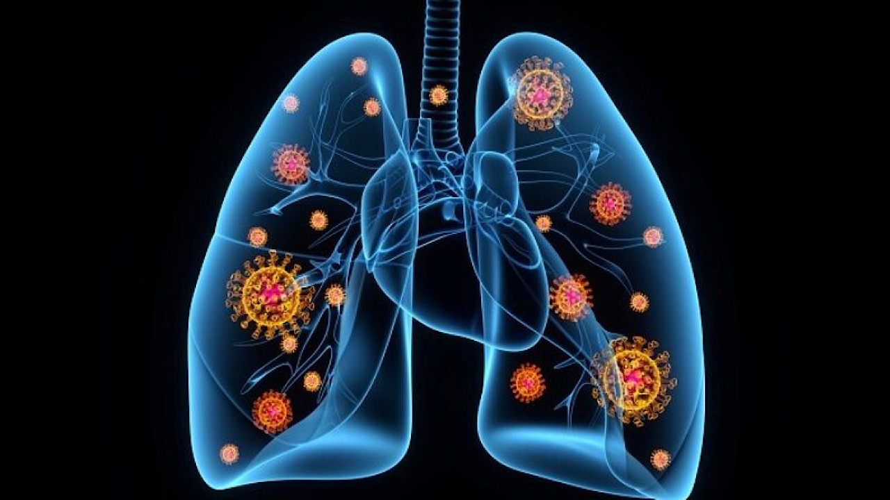 ذاتالریه یک تهدید جدی برای کودکان و سالمندان است