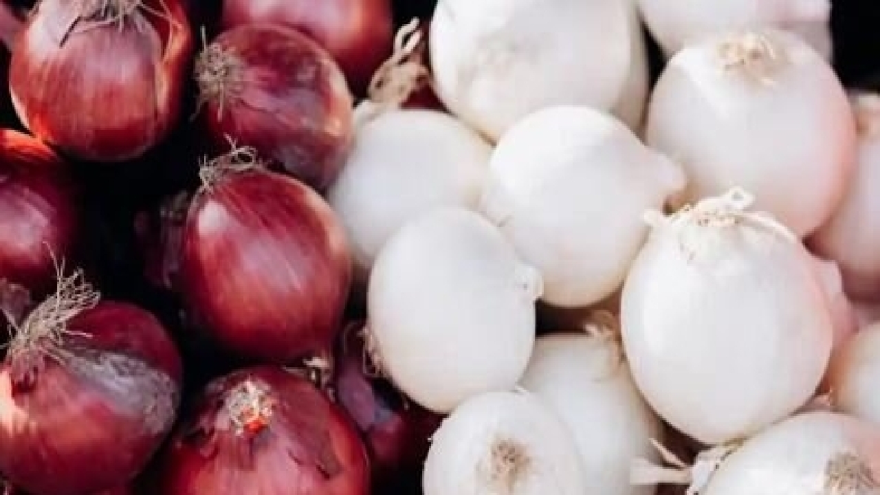 ممانعت مرزبانان از خروج ۱۶ تن پیاز قاچاق