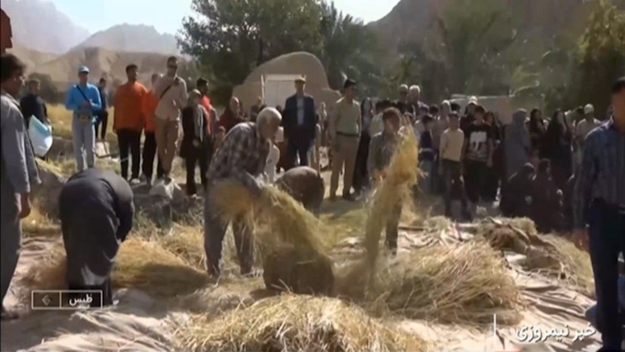 جشنواره نخل و شالی در طبس + فیلم