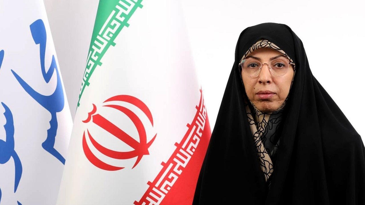 تعیین ۱۴ سکه بهعنوان سقف مهریه در الحاقیههای طرح اصلاح قانون مهریه وجود دارد/ با حبسزدایی مخالف نیستیم