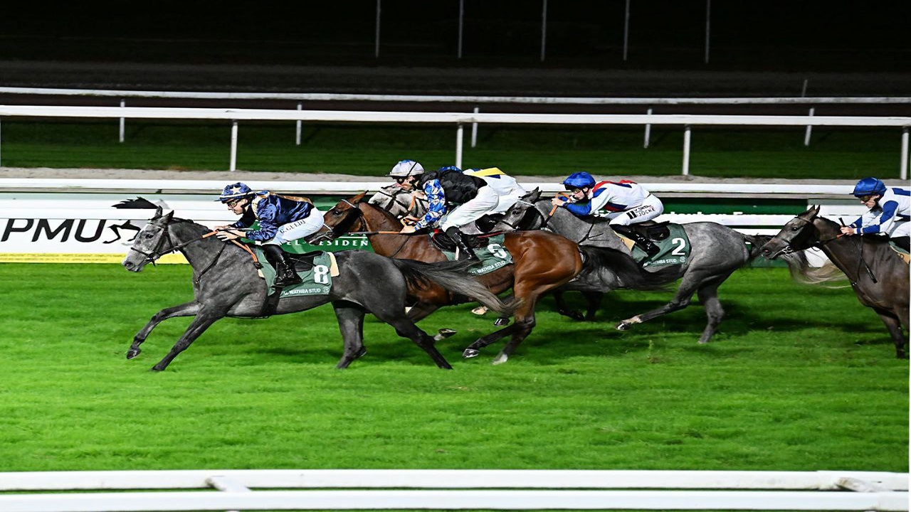 شب تاریخی اسب دوانی ایران در فرانسه/ پیست تولوز در تصرف تی اس ویسما و نرسی د!