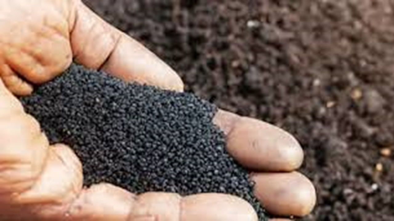 تولید کود آلی بر پایه پسماند باغی + فیلم