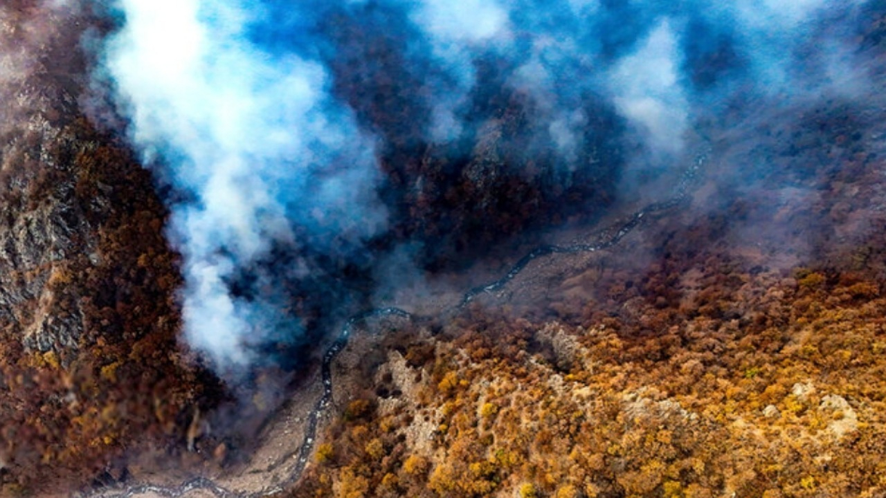 اعزام گسترده نیروی امدادی برای مهار آتش‌سوزی جنگل‌های دیزمار