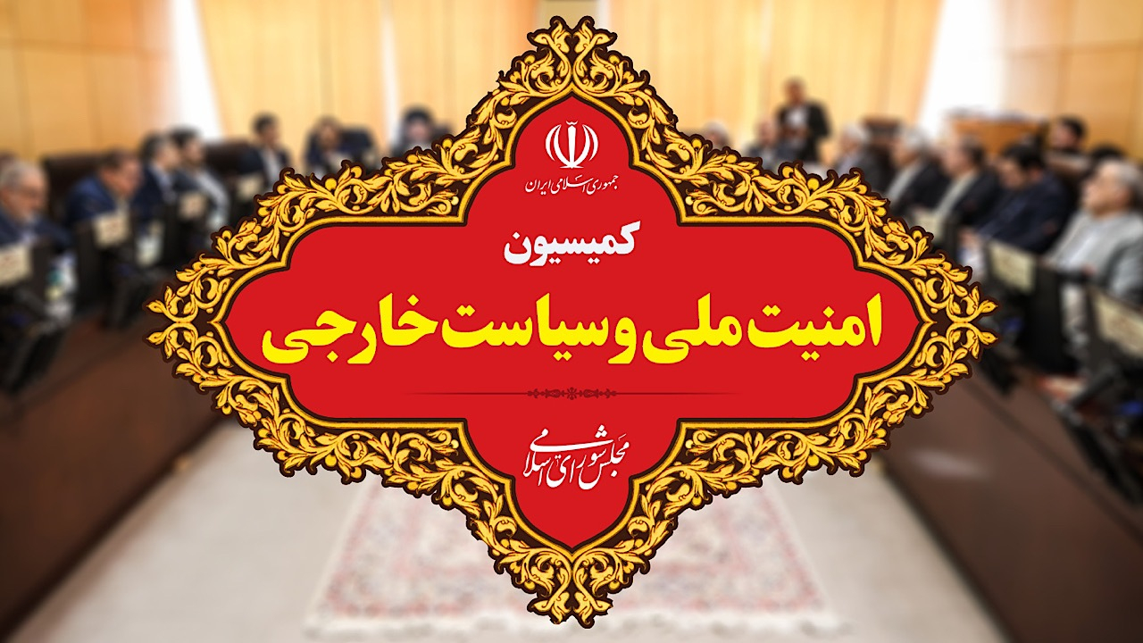 مجلس به عنوان مکمل دولت در حوزه سیاست خارجی عمل میکند