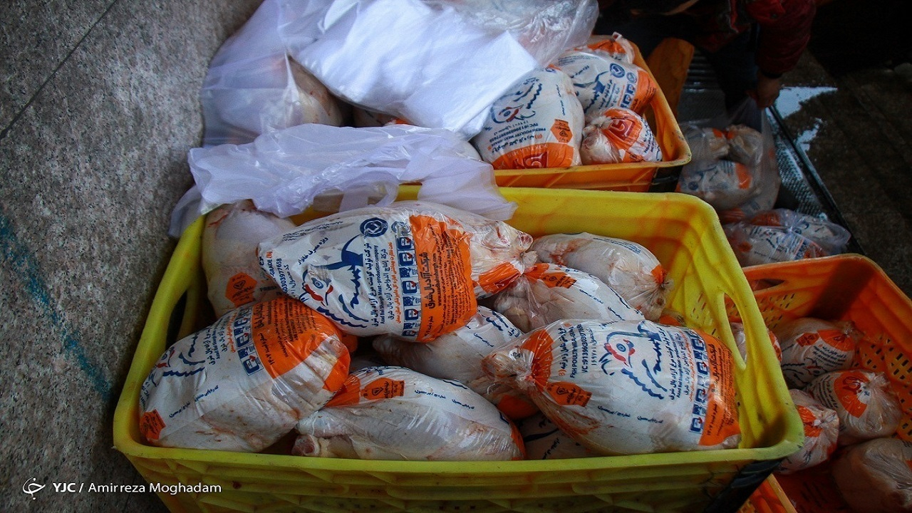 ضرورت جمع آوری ماهانه ۲۰ هزارتن مرغ از سطح بازار