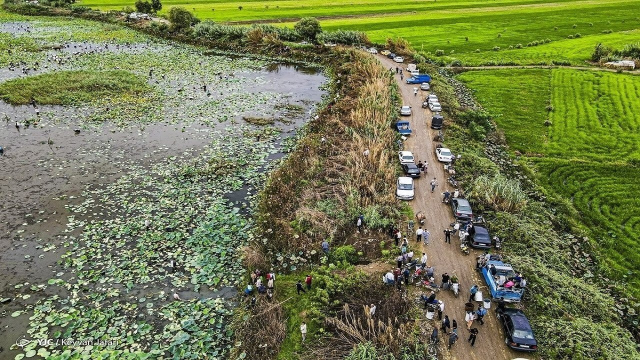 جلوگیری از خرد شدن اراضی کشاورزی راهکاری برای دستیابی به امنیت غذایی
