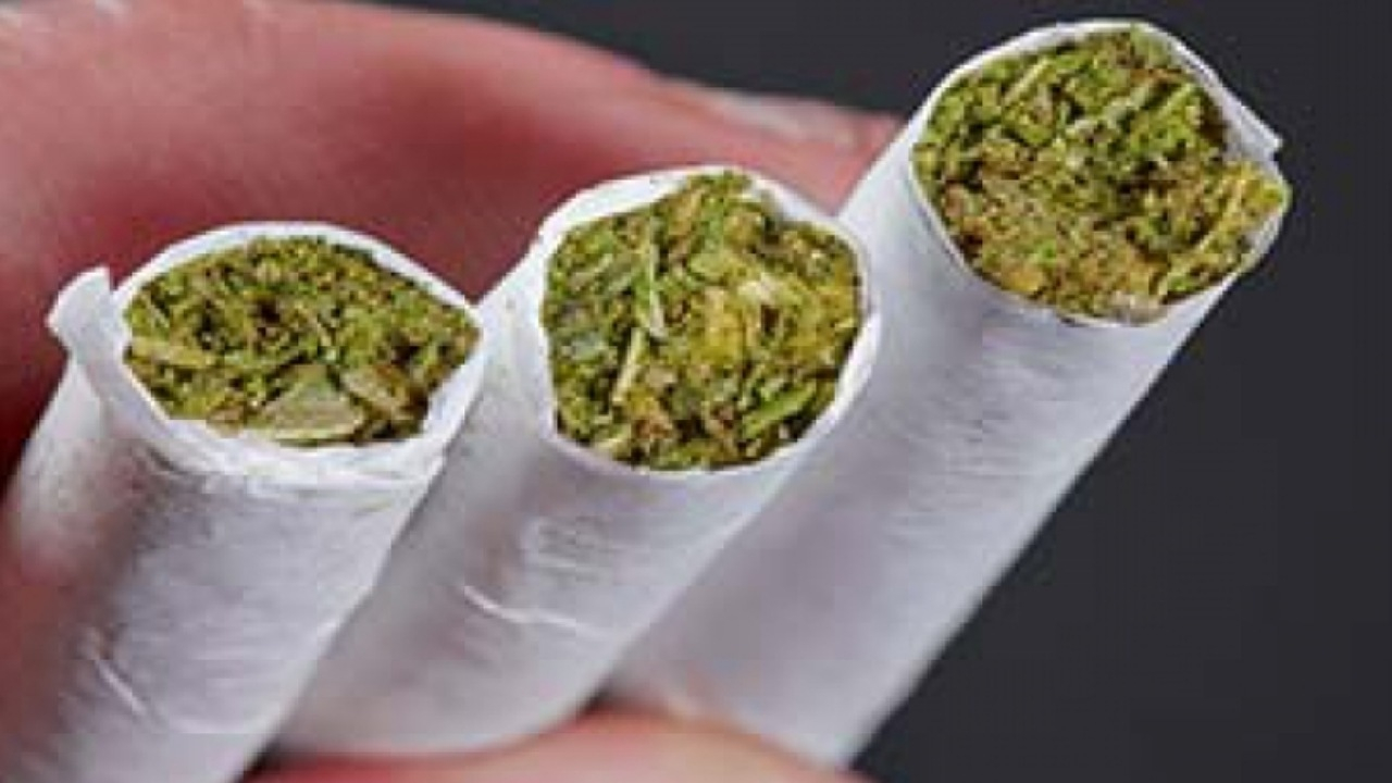 خطر جدی ساده‌انگاری «گُل» تله مافیای مواد مخدر