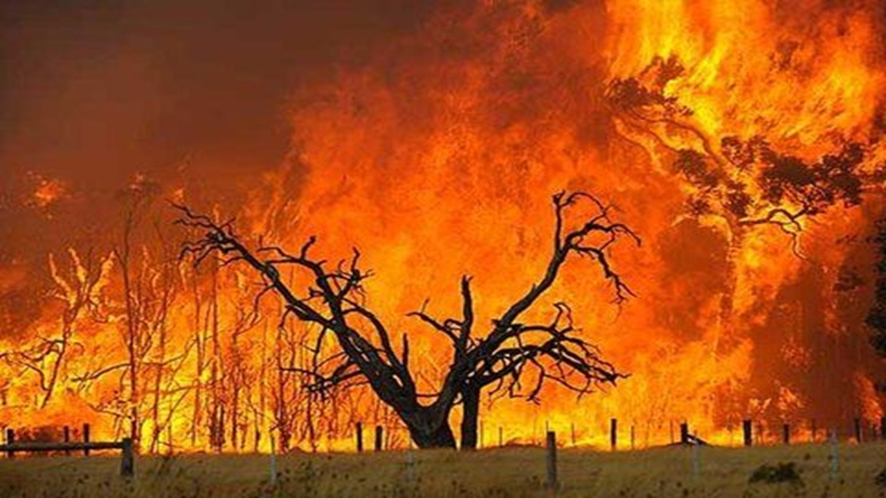 آتشسوزیهای گسترده، آسمان شرق کانادا را نارنجیرنگ کرد + فیلم
