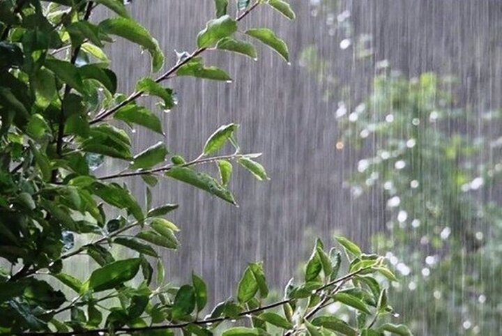 بارش باران زنجان را فرا می گیرد
