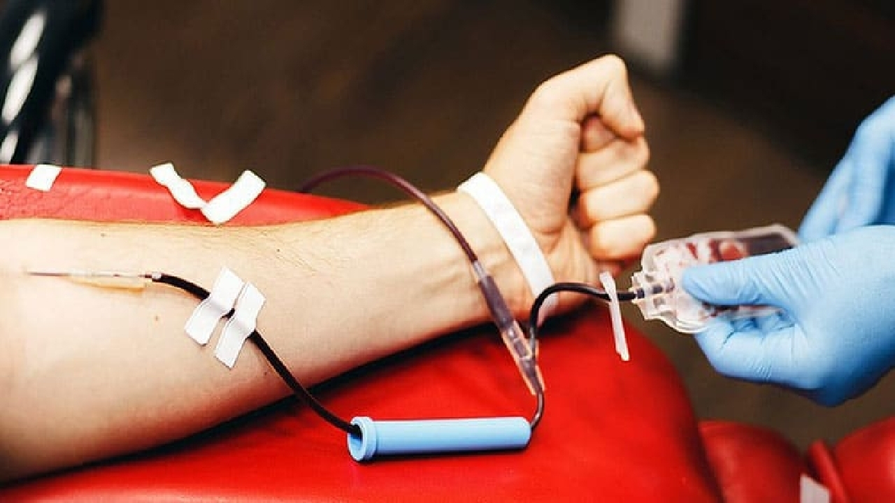 معافیت یکساله اهدای خون برای افراد حجامت کرده/ حجامت باید توسط متخصص طب سنتی تجویز شود